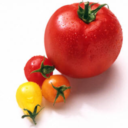 tomatoes314001.png